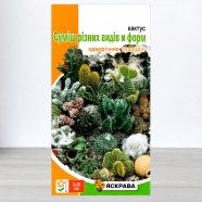 Насіння кактусу Суміш різних видів і форм, 0,2г, ТМ Яскрава
